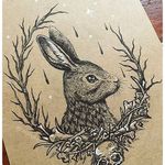 Hare Illustration by Leslie Karin (via IG-catxbone) #illustrative #blackink #mutedcolor #flora #fauna #magic #LeslieKarin