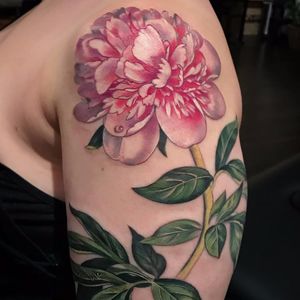 Fresh cut flower by Stephanie Brown #StephanieBrown #feralcatbox #color #realistic #realism #flower #peony #leaves #floral #nature #tattoooftheday