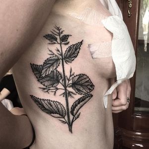 Dotwork nettle tattoo by Klaudia Holda. #dotwork #blackwork #KlaudiaHolda #nettle #botanical