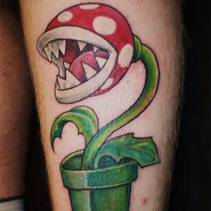 The nightmare plant that started it all. #supermariobros #venusflytrap