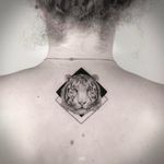 White tiger geometric tattoo by Mark Ostein #MarkOstein #blackworksubmission #blackwork #dotwork #lisbontattoo #blacktattooart #geometric #tiger #whitetiger #animal