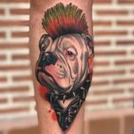 Punk rock Bulldog by Deborah Cherrys #DeborahCherrys #newtraditional #watercolor #realistic #mohawk #punk #bulldog #petportrait #studs #leatherjacket #dog #animal #tattoooftheday