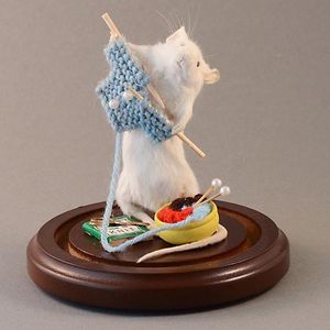 Knitting Mouse by Amber Maykut (via IG-ambermaykut) #taxidermy #hoardiculture #nyc #ambermaykut