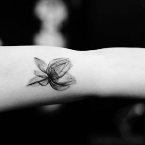 Lovely flower tattoo by Evan Kim #watercolortattoo #xrayflower #fowertattoo #linework #dotshading #blackwork #evantattoo #evankim #West4Tattoo #nyc