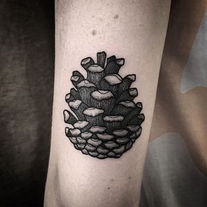 Pinecone Tattoo by Will Pacheco #pinecone #pineconetattoo #blackwork #blackworktattoo #blackworktattoos #blackink #blackinktattoo #blackworkartist #WillPacheco
