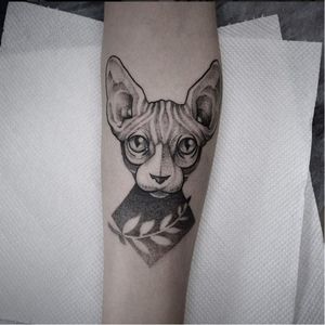 Sphinx cat tattoo by Taras Shtanko #TarasShtanko #dotwork #nature #sphinxcat #cat