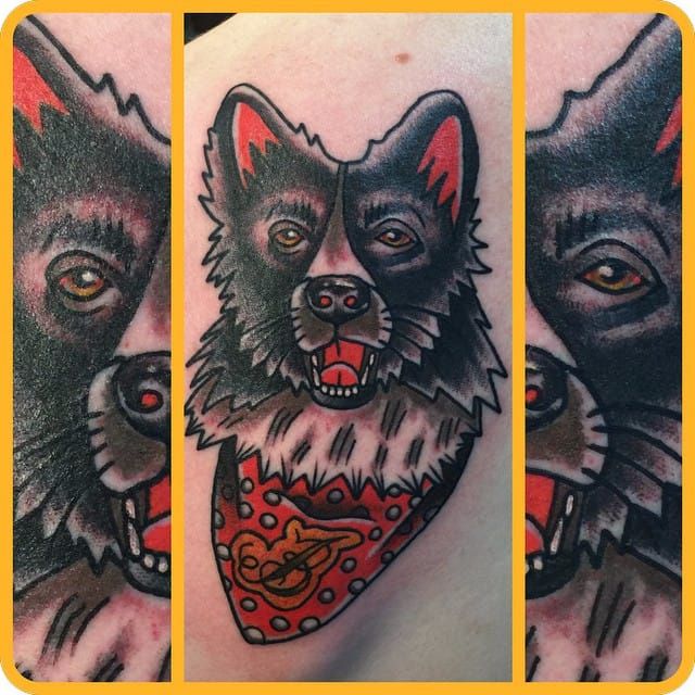 Hand poked collie tattoo  Tattoogridnet