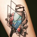 Black and color dotwork blue tit bird tattoo by Lisa Rieger. #blackandcolor #dotwork #doubleexposure #bird #bluetit #bluetitbird #LisaRieger