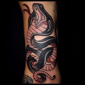 Cobra Tattoo by Sebastian Domaschke #cobra #snake #traditional #neotraditional #bold #classic #oldschool #SebastianDomaschke