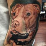 Sweet dog tattoo by Pony Lawson. #realism #colorrealism #dog #petportrait #PonyLawson