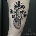 Anatomical heart tattoo by Strange Dust #StrangeDust #blackwork #anatomicalheart