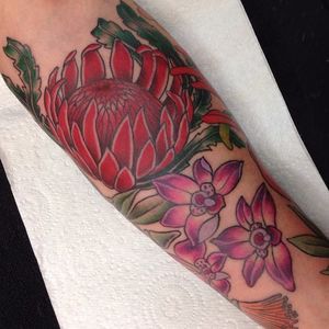 Waratah and orchid flowers, part of an Australian native sleeve in progress. Tattoo by Megan Oliver. #flowers #orchid #waratah #Australiaflora #MeganOliver #neotraditional #WIP