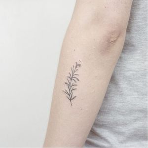 Vegetal tattoo by Ponto Tattoo #PontoTattoo #dotwork #pointillism #small #vegetal