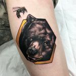 Bear and bee tattoo by Alex Bock #AlexBock #naturetattoos #color #realism #realistic #newschool #neotraditional #mashup #bear #bee #honeybee #animal #forestlife #tattoooftheday