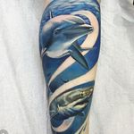 Shark and dolphin tattoo by Chad Jacob. #realism #colorrealism #shark #dolphin #ChadJacob