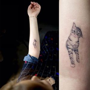 Head butt by Sol Tattoo (via IG-soltattoo) #cat #cattoo #kitten #fineline #delicate #petportrait #color #soltattoo