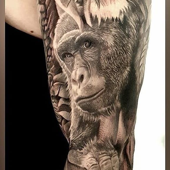 Mike DeVries  Tattoos  Realistic  Monkey Tattoo