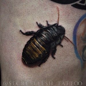 Cockroach via instagram secretflesh_tattoo #cockroach #insect #realism #color #andreystepanov