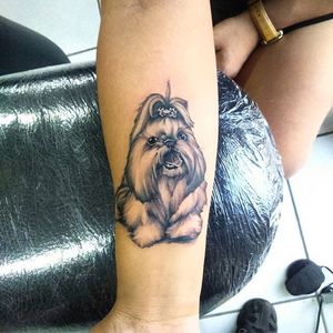 Black and grey shih tzu portrait tattoo by Cirius Cubas. #blackandgrey #realism #petportrait #dog #shihtzu #CiriusCubas