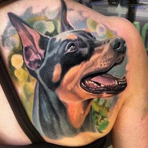 Amazing color realism doberman tattoo. Artist unknown. #dog #doberman #realism #colorrealism