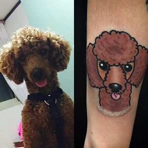 Cheeky poodle portrait by @twinstattoo_woo. #poodle #dog #traditional #portrait #twinstattoo_woo