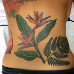 Traditional style bird of paradise tattoo by Jenn Matthews. #birdofparadise #craneflower #flower #traditional #JennMatthews