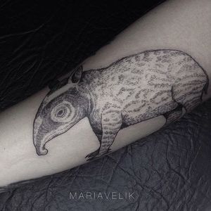 Blackwork tattoo by Maria Velik. #blackwork #linework #tapir #MariaVelik #animal