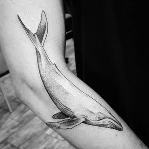 #LeoMarsiglia #brasil #brazil #brazilianartist #tatuadoresdobrasil #blackwork #fineline #pontilhismo #dotwork #whale #baleia #peixe #fish