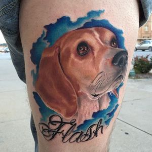 Beagle giving the puppy dog eyes. Tattoo by Justin McIntyre. #dog #realism #colorrealism #beagle #JustinMcIntyre