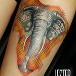 #elefante #elephant #Lester #LesterTatuador #aquarela #oriental #watercolor #Electricink #brasil