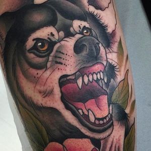 Snarling dog tattoo done by Alvaro Alonso. #AlvaroAlonso #NeoTraditional #animaltattoo #MalibuTattooSpain #dog #husky #animalportrait