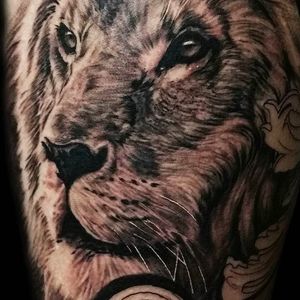 Magnificent detail on this lion portrait tattoo. #nathanhebert #blackandgrey #lion #animal #animalportrait