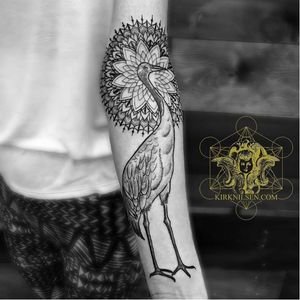Mandala bird tattoo by Kirk Nilson #KirkNilson #KirkEdwardNilsonII #mandala #pattern #bird
