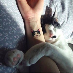 Sol Tattoo's specialty is cat tattoos, and here is an especially cute one! #soltattoo #tattooistsol #cattattoo #portraittatoo #pettattoo