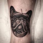 Por Torra Tattoo #TorraTattoo #brasil #brazil #brazilianartist #tatuadoresdobrasil #blackwork #pontilhismo #dotwork #dog #cachorro #cao #pet #petlover #doglover #bulldog