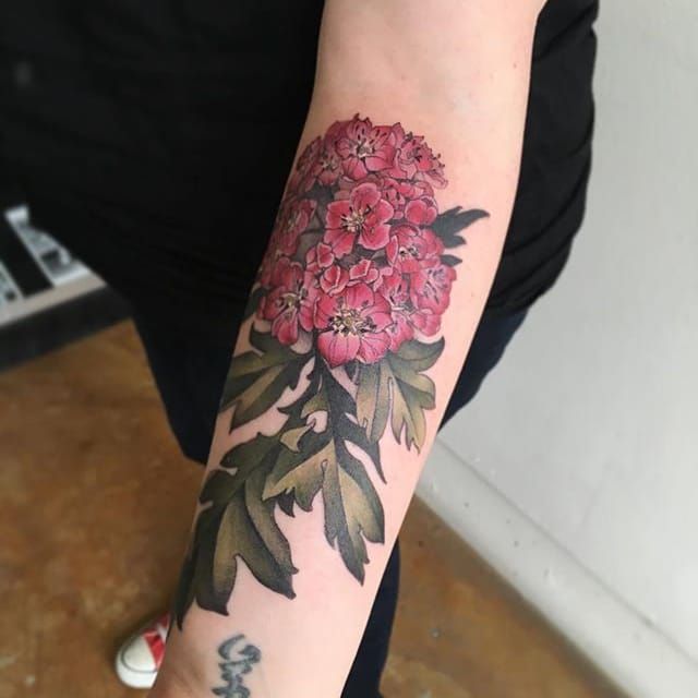 hawthorne flower tattooTikTok Search
