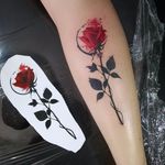 Rosa por Samme Antunes! #SammeAntunes #tatuadoresbrasileiros #tatuadoresdobrasil #tattoobr #tattoodobr #rose #rosa
