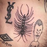 Blackwork Centipede Tattoo by Ross Hell #centipede #blackworkcentipede #insect #bug #blackworkinsect #blackworkarist #RossHell