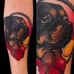 Rad looking portrait of a Rottweiler. Tattoo by Giulia Bongiovanni. #giuliabongiovanni #neotraditional #animalportrait #rottweiler #coloredtattoo