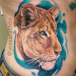 Realistic lioness by Jessa #Jessa #lioness #lion #realistic