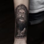 King 'o' the jungle by Stefano Alcantara #StefanoAlcantara #realism #realistic #hyperrealism #lion #junglecat #safari #kingofthejungle #roar #cat #nature #animal #tattoooftheday