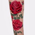 Lovely roses tattoo by Soso #Soso #KoreanArtist #color #realism #realistic #painterly #roses #flowers #rosebud #leaves #nature #plant #floral #thorns #redink #tattoooftheday