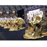 Gold skull trophies awarded to the best tattooers at the expo. #trophy #skull #gold #goldskull #tattooexpo #sydney #australia #ritesofpassage #ritesofpassagetattooexpo