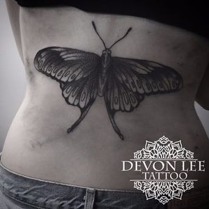 Dotwork Moth Tattoo by Devon Lee #dotowrkmoth #moth #dotwork #DevonLee