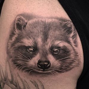 Adorable raccoon by Jamie Mahood. #blackandgrey #realism #JamieMahood #raccoon #animal