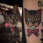 Gray Cat Tattoo by Jiran @Jiran_Tattoo #JiranTattoo #Pet #Cat #PetTattoo #Neotraditional #Seoul #Korea