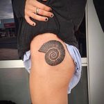 Ammonite tattoo by Miss Jade #ammonite #MissJade #blackwork #ammonitetattoo