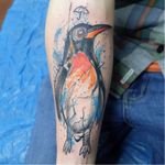 #Schwein #tatuadorgringo #coloridas #colorful #sketch #abstrata #abstract #pinguim #penguin