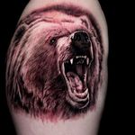 Rad growling bear tattoo done by Shine. #ShinhyeKim #Shine #blackandgrey #fineline #animaltattoo #bear #realistic #realism