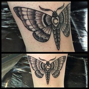 Dotwork Moth Tattoo by Lauren Jayne Gow #dotowrkmoth #moth #dotwork #LaurenJayneGow